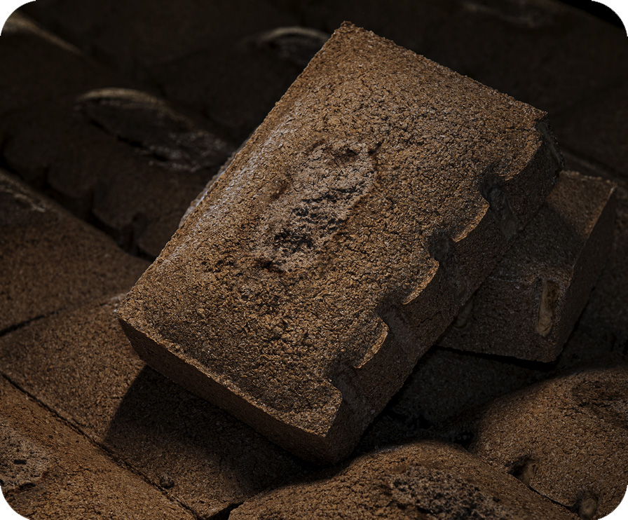 orange橘子平台·(中国区)官方网站