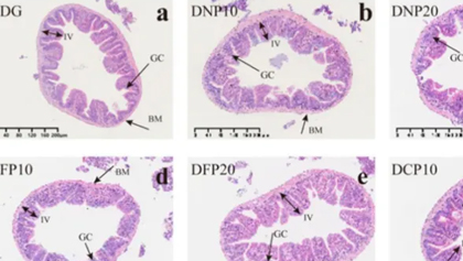 orange橘子平台·(中国区)官方网站